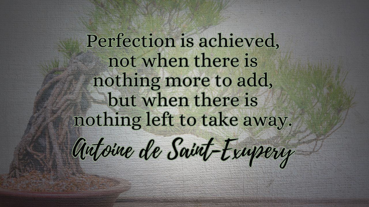 Quote by Antoine de Saint-Exupery